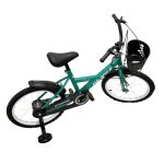 Bicicleta Niño Montaña Rodado 12 (2)