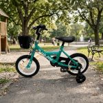 Bicicleta Niño Montaña Rodado 12 (3)