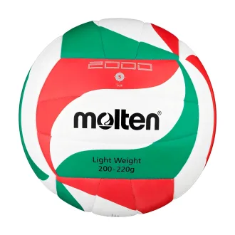 Pelota Volley Molten 2000