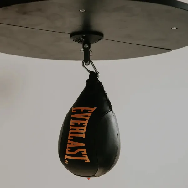 Pera Punching Ball Everlast (3)